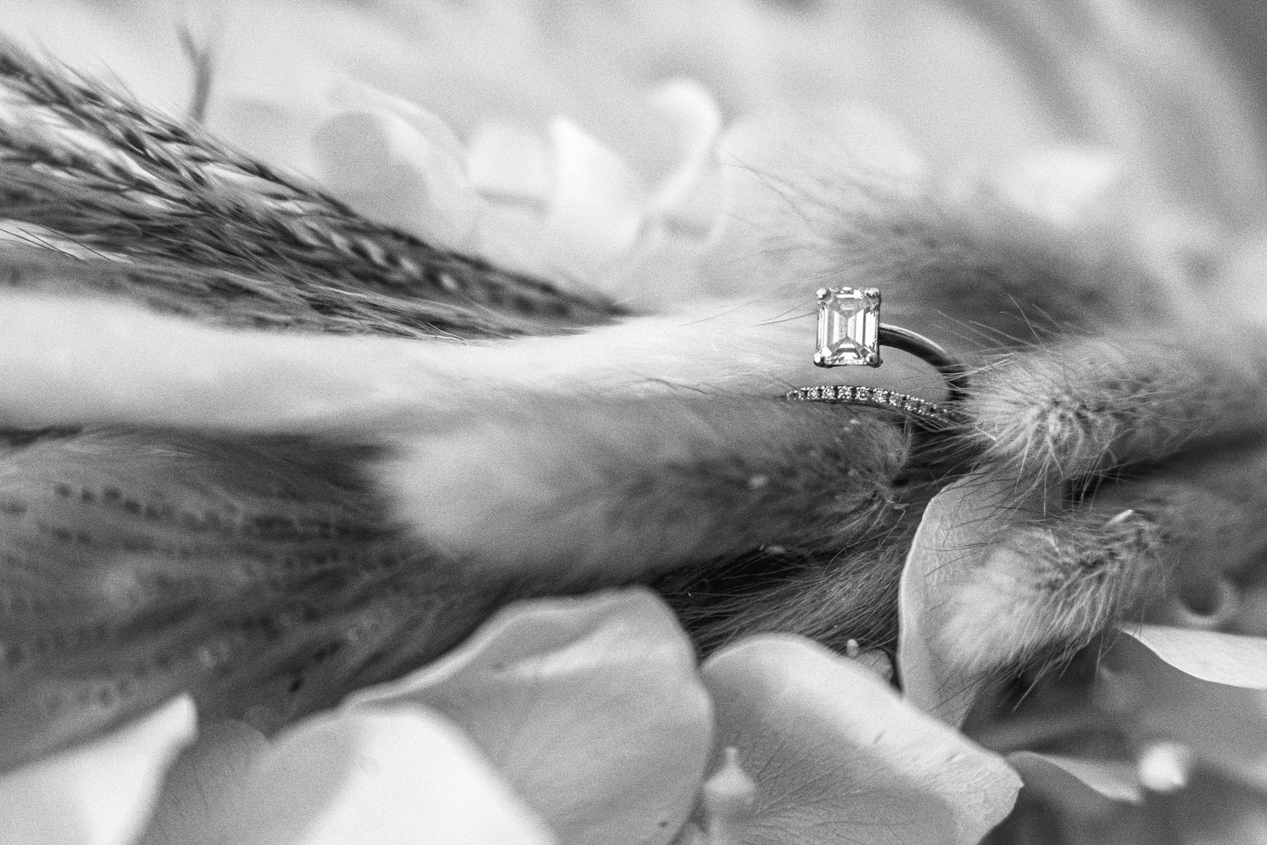 _DSC5544-5